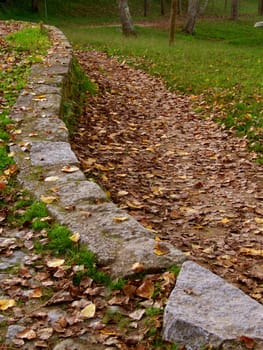 Wall and pathway covered with dry leaves