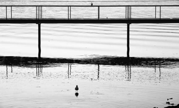 bridge reflection on bright water