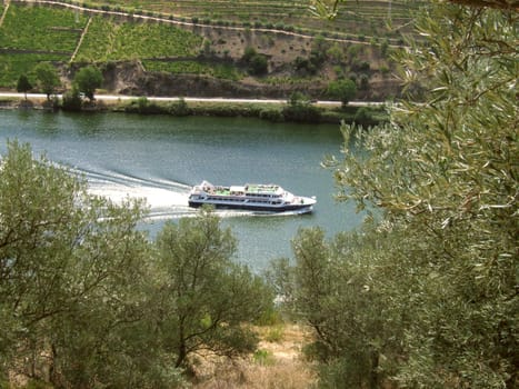 River cruise close to vineyards