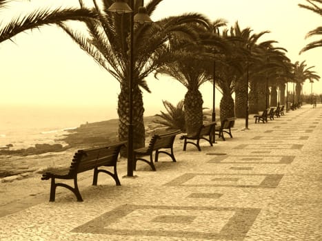 Seaside walk with chairs and palms