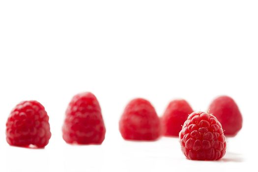 one raspberry in front of five isolated on white background