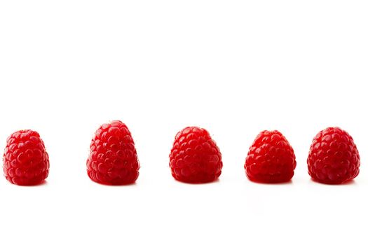 five raspberries in a row isolated on white background