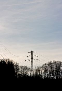 This image shows a power pole in forest