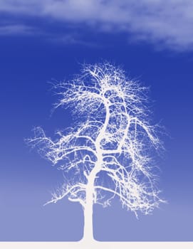 This image shows a lonely white tree