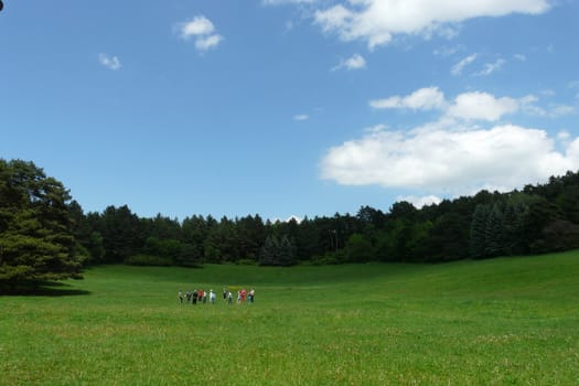 People playing on the meadow in sunny day