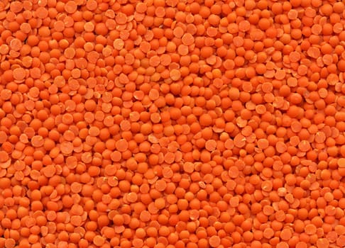 Close-up of dry red lentils, for texture or background