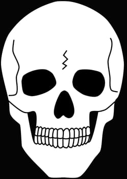 White skull on the black background