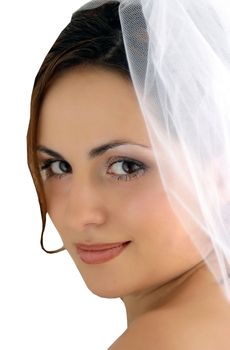 Beautiful bride wearing veil isolated on white background.