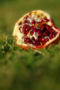 a pomegranate laying in the grass