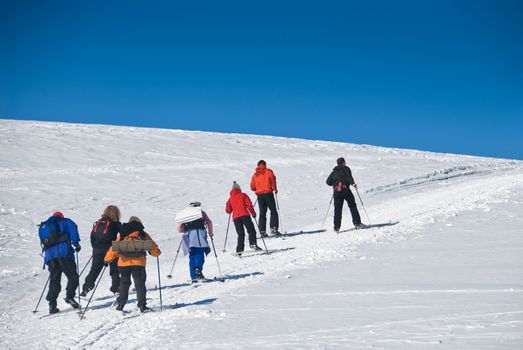 Group of people back country skiing up a hill. Picture taken in Oppdal, Norway.
