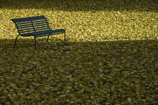 An empty green bench with a lot of yellow leafs laying in the grass