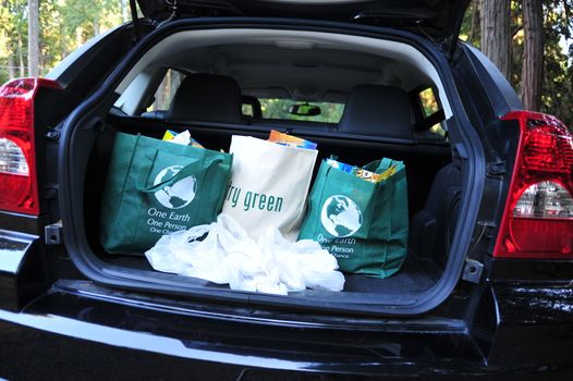 Returning home shopping using reusable cloth shopping bags.