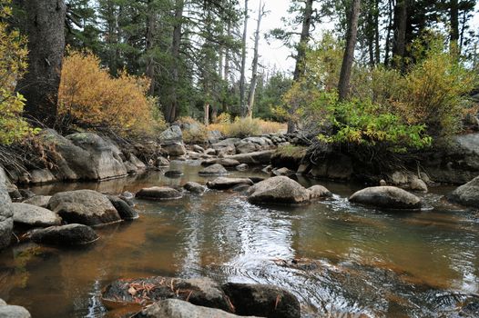 Fall arrives to a mountain stream in Alpine Coubty California.