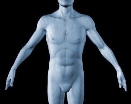 3d image of a man's torso