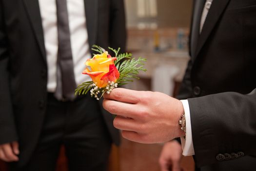 Hand of a man showing a yellow and red rose