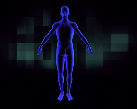 3d image of 3d human scanner