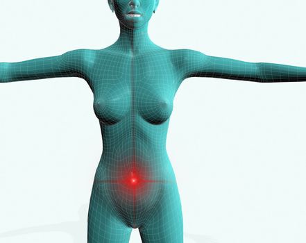 Frontal 3d image of torso of a woman with pain in her stomach