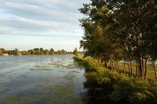 The side of a calm river in the summer