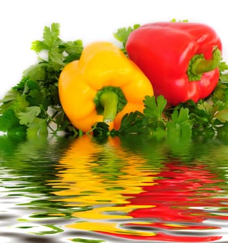 two sweet peppers (paprika), parsley and reflection in water