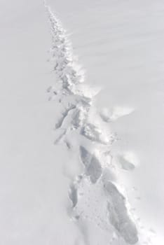 Path through snow on a sunny day.