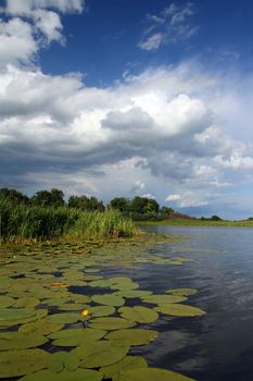 summer lake landscape with coming soon storm