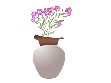 pot with beautiful  flowers on white background 