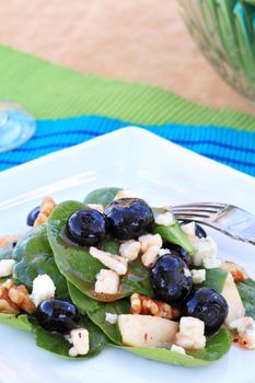Spinach salad with gorgonzola cheese, walnuts, pears, blueberries and a raspberry vinaigrette.