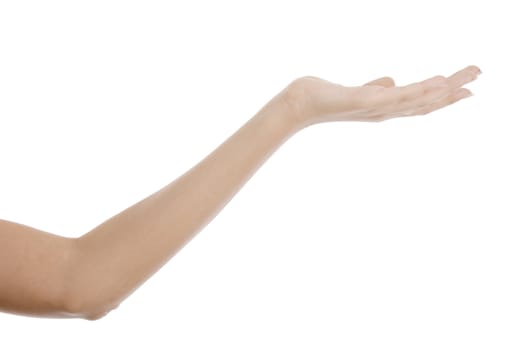 hand showing flat palm on  an isolated white background 