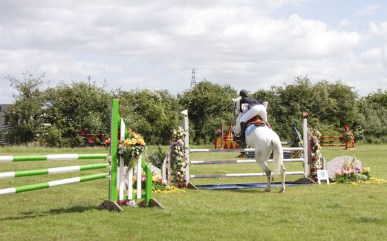 horses jumping fences at a show jumping competion