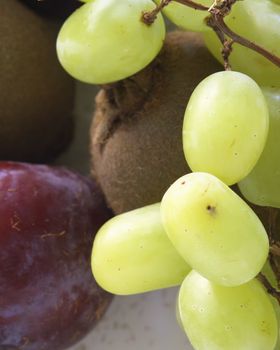 grapes in focus of plums and kiwi