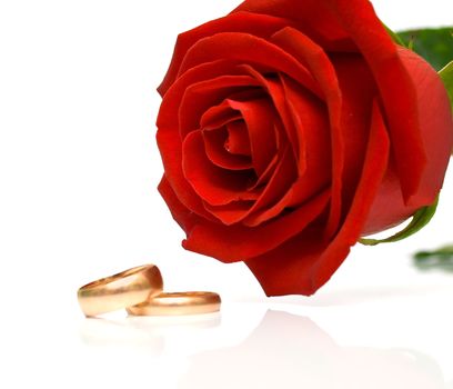 Wedding rings and red rose on white background