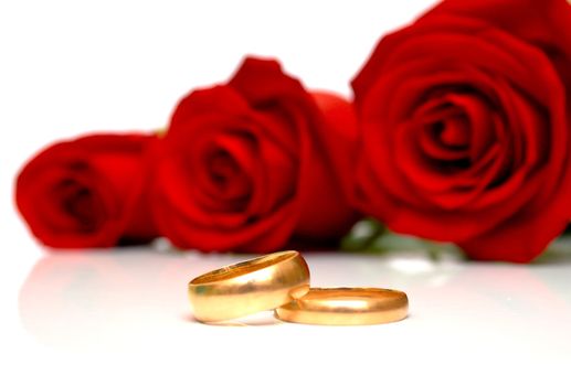Wedding rings and red roses on white background