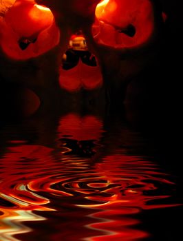 Front of burning skull - old skull against black background and reflections in water