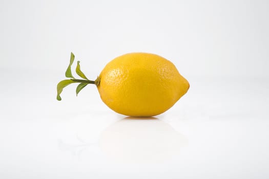 yellow lemon and green leaves, front view