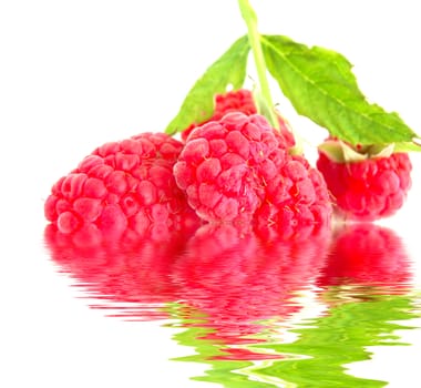 close-up of raspberry with leaves