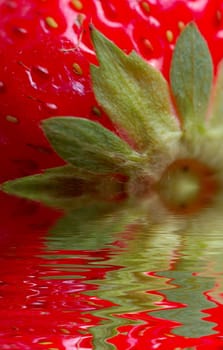 macro of strawberry with leaves