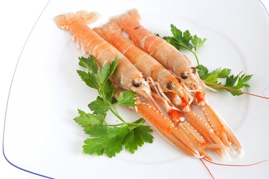 closeup of three prawns with parsley on a white plate isolated with clipping path
