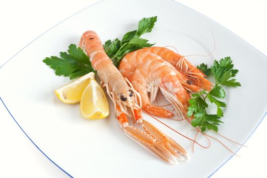 dish with fresh prawns isolated on white background with clipping path