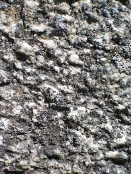 grey rock close up background