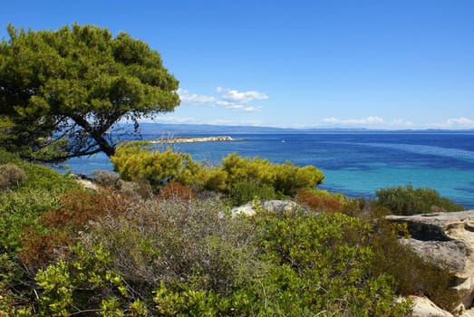 The beautiful coastline of Halkidiki in Vourvourou (Sithonia).