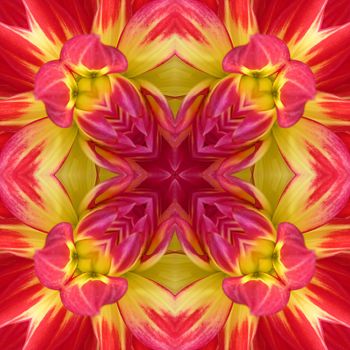 A Dahlia flower seamless tile background pattern.