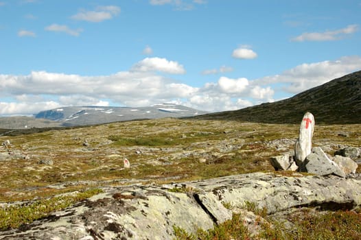 Mountain path in Norway marked by red T.