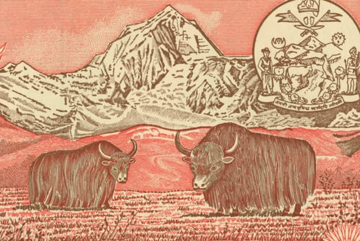 Pair of Yaks on 5 Rupees 1987 Banknote from Nepal.