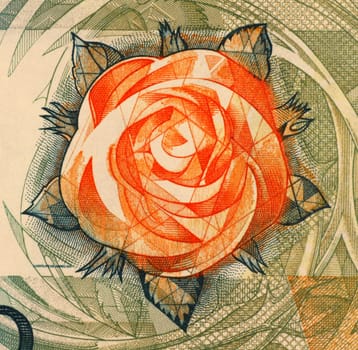 Rose on 100 Escudos 1988 Banknote from Portugal.