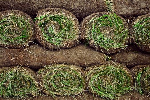 Stack of rolled grass sod or turf for lawns and landscaping