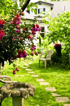 Path of stepping stones leading to a house in lush green garden