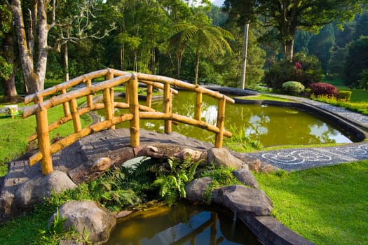 Bridge over the pool  in a botanical garden.