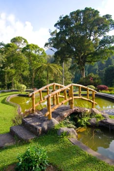 Bridge over the pool  in a botanical garden.