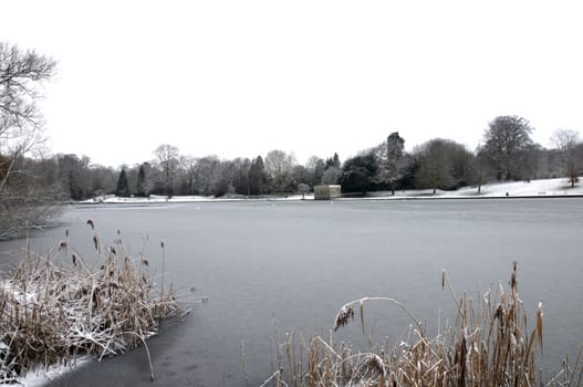 A view of a lake in winter with snow