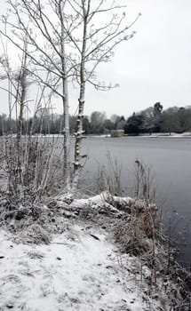 A view of a lake in winter with snow